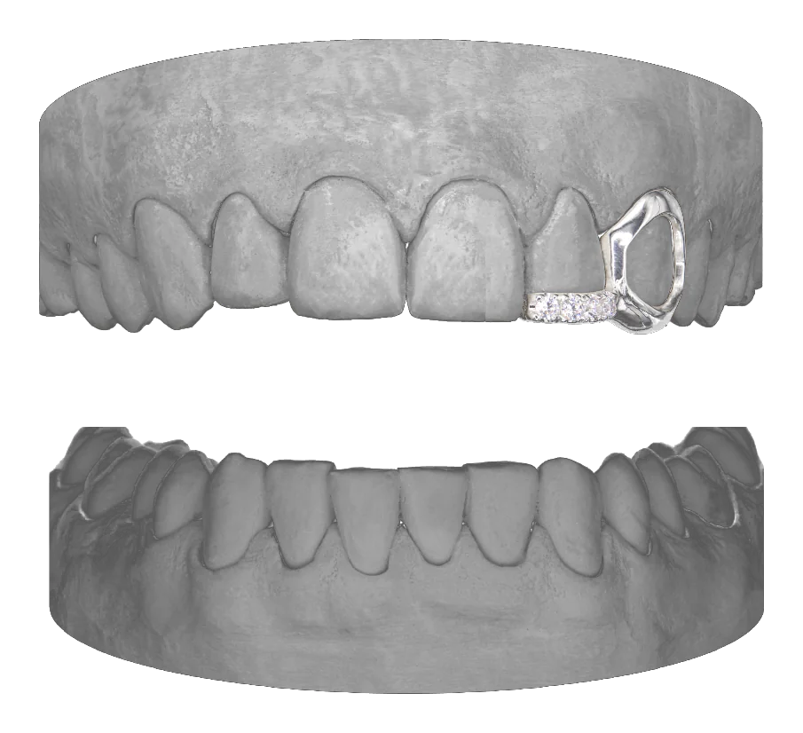 Window Canine Diamond Bar